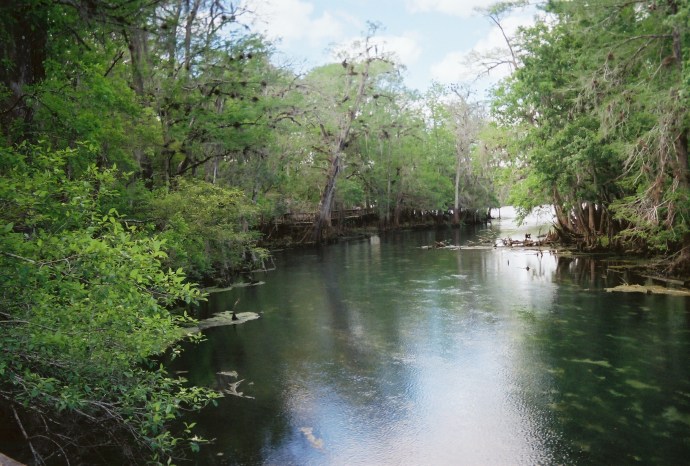 North East Florida river beauty