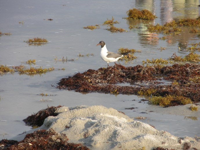 Favorite First Coast Views