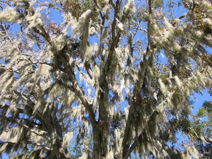 Frogmore Farm as I see it