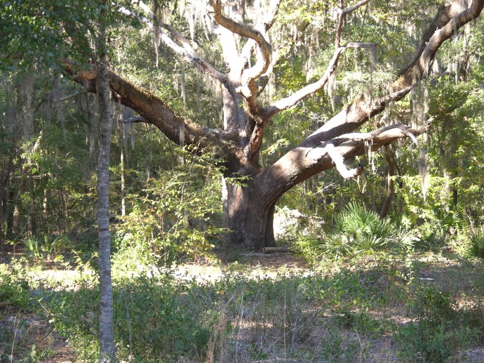 Frogmore Farm as I see it