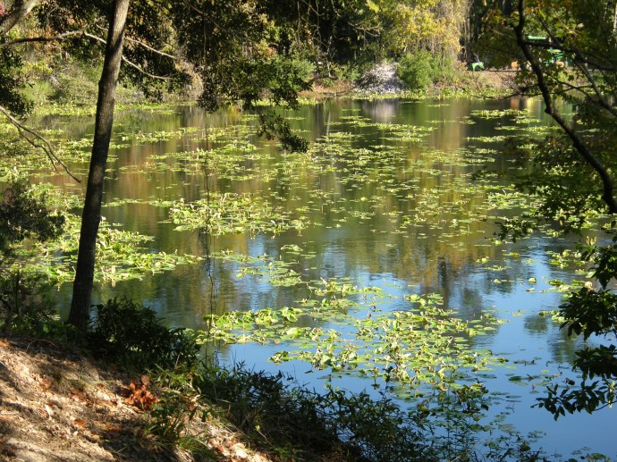 Frogmore Farm as I see it