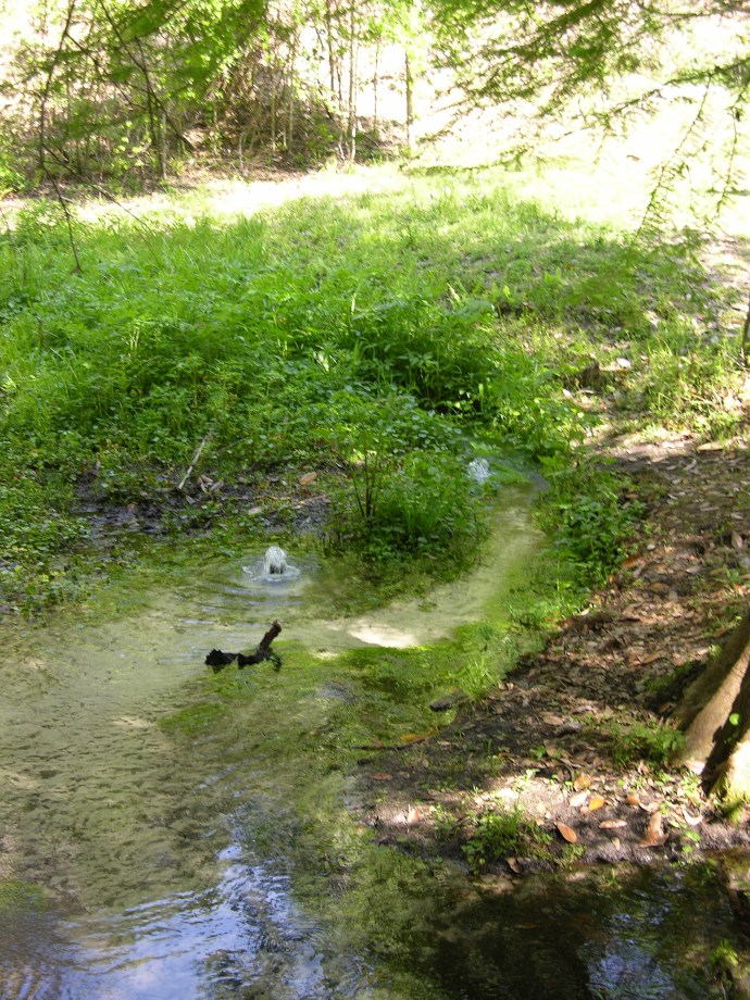 Frogmore Farm as I see it