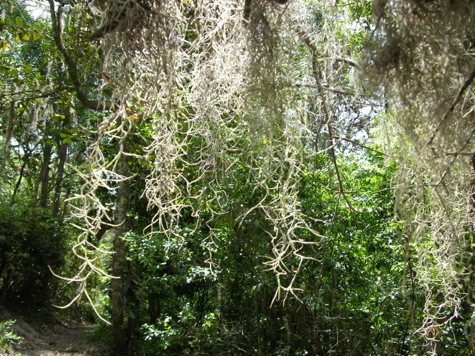 Frogmore Farm as I see it