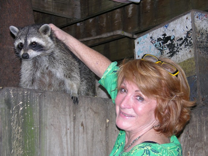 BarbaraTidwell with one of her rescued raccoons