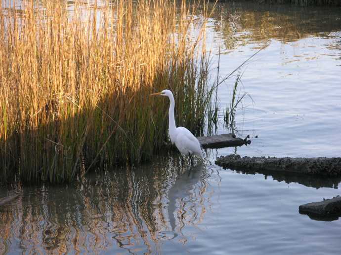 Favorite First Coast Views
